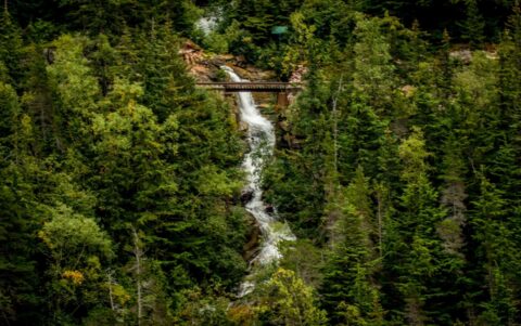 Railway Bridge At Pitchfork Falls, Look From Klondike Highway Towards Skagway, AK