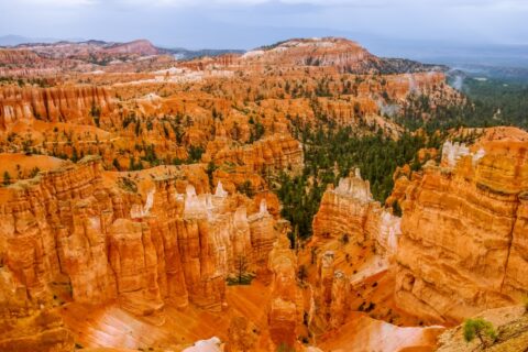 Rainy Day In Bryce Canyon National Park, UT