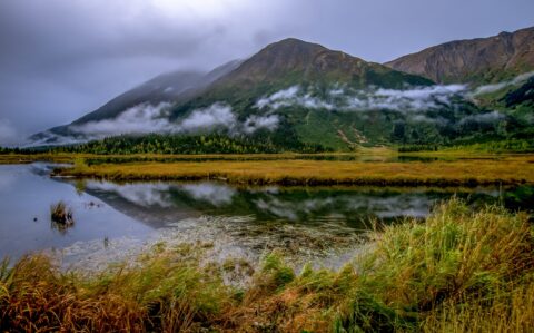 Rainy Morning At Tern Lake On Kenai Peninsula, AK