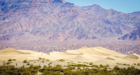 Mesquite Flat Sand Dunes In  Death Valley National Park, CA