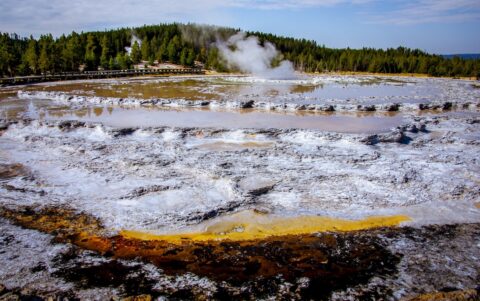 Scenery In Lower Geyser Basin, Yellowstone National Park, WY
