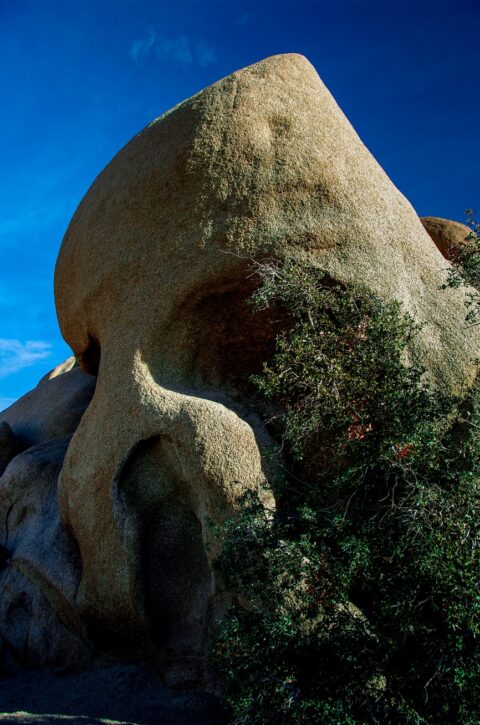 Scull Rock In Joshua Tree National Park, CA