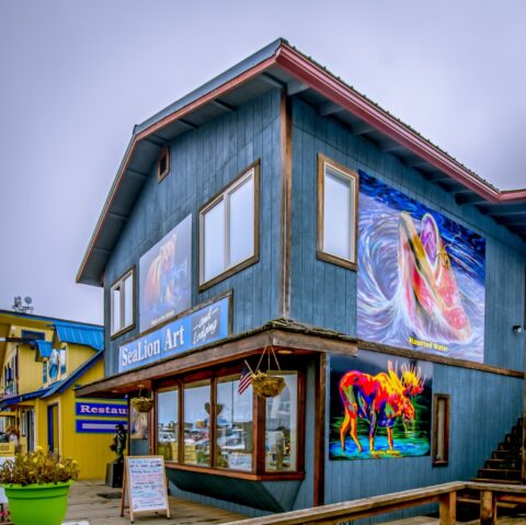 Sea Lion Art Gallery And Store In Homer, AK