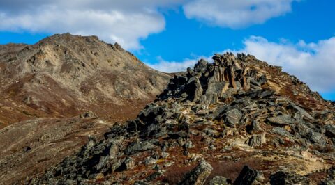 Second Peak On Savage Alpine Trail In Denali National Park, AK