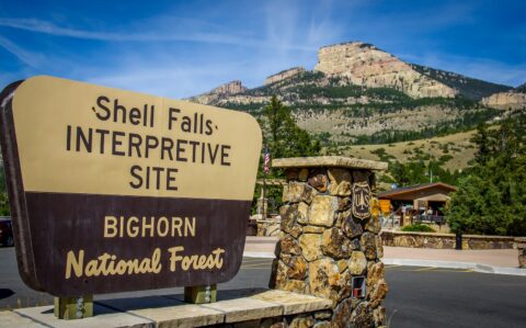 Shell Falls Vista In Bighorn National Forest, WY