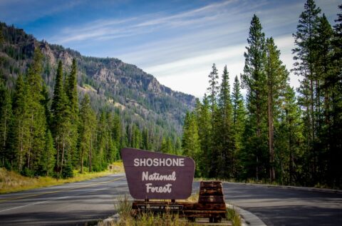 Shoshone National Forest, On The Highway 14 Eastbound From Yellowstone National Park, WY