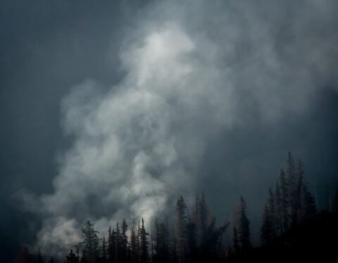 Smoke From Forest Fire On Kenai Peninsula Quite Close To Sterling Highway, AK