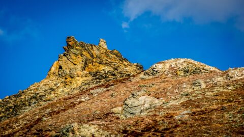 Snail Looking Rock Formation Along Savage Alpine Trail In Denali National Park, AK