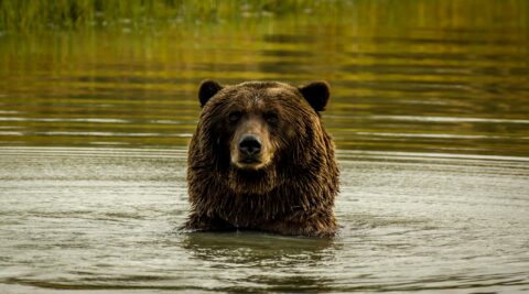 So Good To Take A Bath, AK