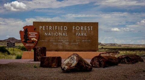 South Entrance To Petrified Forest National Park, AZ