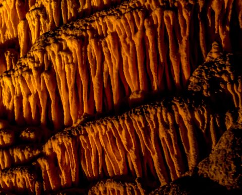 Speleotherm Detail In Carlsbad Cavern National Park, NM