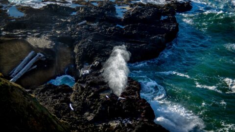 Spouting Horn At Cook’s Chasm, Yachats, OR