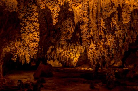 Stalagmites In Carlsbad Cavern National Park, NM