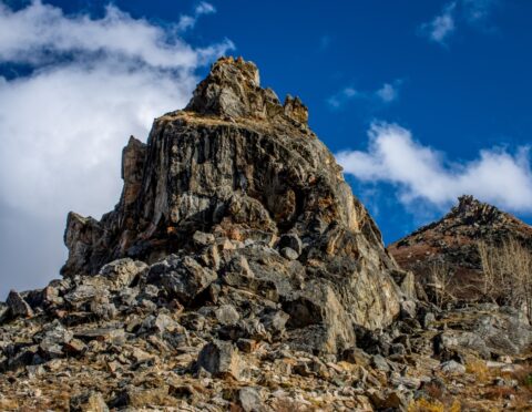Steep Section Of Savage Alpine Trail In Denali National Park, AK