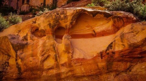 Strange Shapes And Colors Near Druid Arch, Needles, Canyonlands National Park, Moab, UT