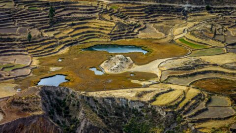 Terraces And Lakes, Colca Canyon, Peru