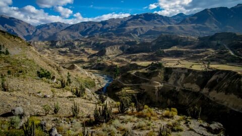 Terraces In Colca Canyon, Peru