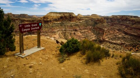 The Wedge, San Rafael Swell, UT