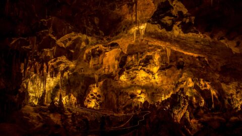 Trail Through “Chinese Theater” In Carlsbad Cavern National Park, NM