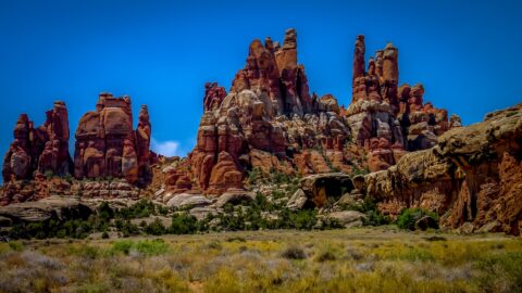 Trail Through Devil’s Kitchen, Needles, Canyonlands National Park, UT