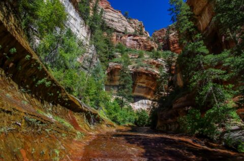 Trail Through Left Fork of North Creek To The Subway,  Zion National Park, UT