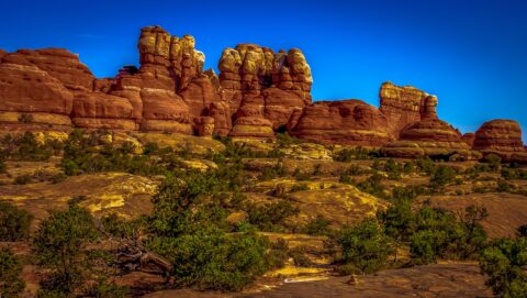 Trail Towards Devil’s Kitchen, Needles, Canyonlands National Park, UT