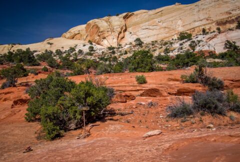 Trailhead To The Rim Of Upper Muley Twist Canyon, Capitol Reef National Park, UT