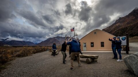 Tourists Play Bull Elk Fight At Toklat Rest Area In Denali National Park, AK