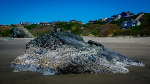 Volcanic Rocks On The Bandon Beach, OR