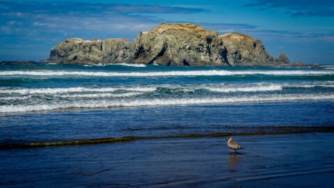 Wade In The Water On The Bandon Beach, OR