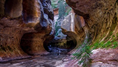Welcome To The Subway!!! Zion National Park, UT