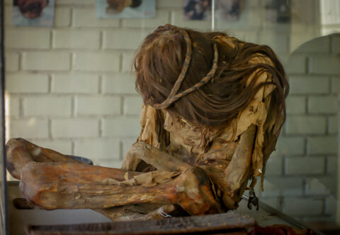 Well Preserved Nazca  Mummy In The  Museum At Archaeologic Site Chauchilla Near Nazca, Peru