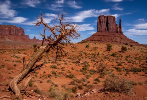 West Mitten, Look From Monument Valley Scenic Drive, AZ
