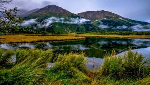 Wet And Cold Morning At Tern Lake On Kenai Peninsula, AK