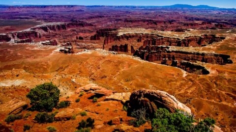 45°C In The Shadow, But There Is No Shadow… White Rim, Canyonlands National Park, UT