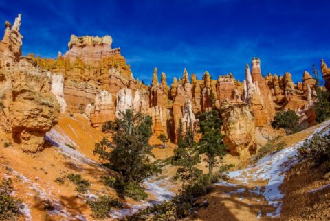 Snow, Evergreen Trees And Hoodoos In Bryce Canyon National Park, UT