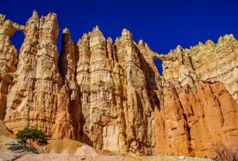 Winter Windows Scenery In Bryce Canyon National Park, UT