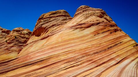 Wrapped Up By  The Wave, AZ