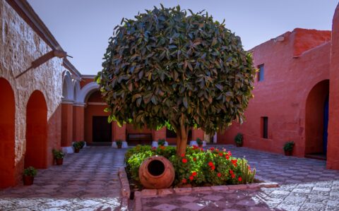 Yard Inside Monasterio de Santa Catalina, Arequipa, Peru