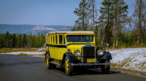 Yellow Car In Yellowstone National Park, WY