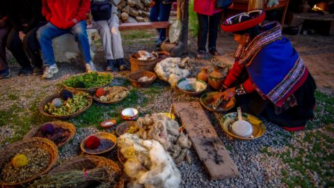 Ingredients for natural dyes, Chinchero, Sacred Valley, Peru