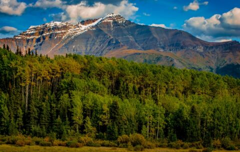 Afternoon Scenery Along Cassiar Highway (37), BC