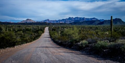 Ajo Mountain Drive, (East Side Of) Organ Pipe Cactus National Monument, AZ