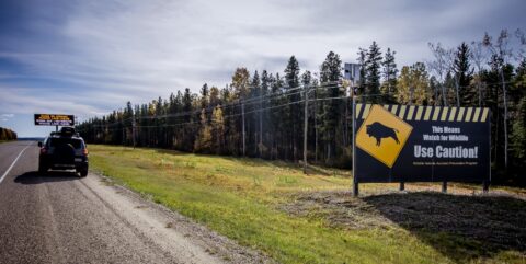 Alaska Highway Southbound, Entering Northern BC