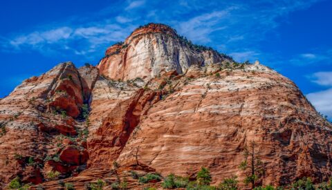 Along Scenic Byway 9 Through Zion National Park, UT