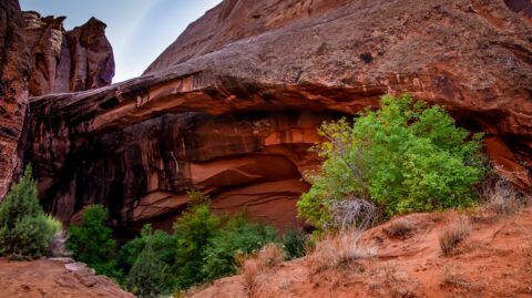 Approaching Morning Glory Bridge In Negro Bill Canyon, Moab, UT