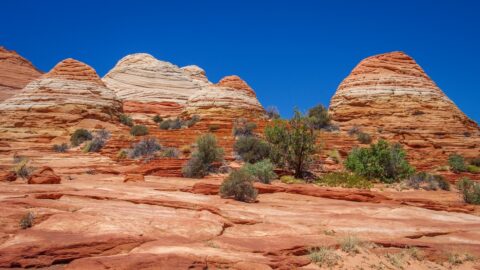 Around Teepees To The Wave, AZ