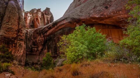 At The End Of The Trail Morning Glory Bridge In Negro Bill Canyon, Moab, UT