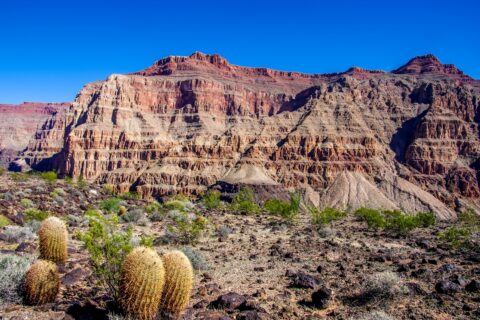 At  Whitmore Canyon, Grand Canyon North Rim, AZ