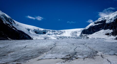 Athabasca Glacier, Columbia Icefields In Jasper National Park, AB